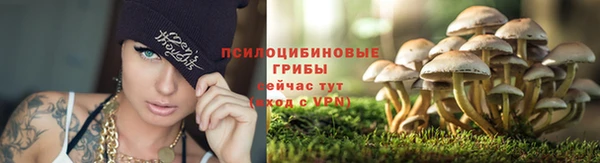 прущие крисы Лиски