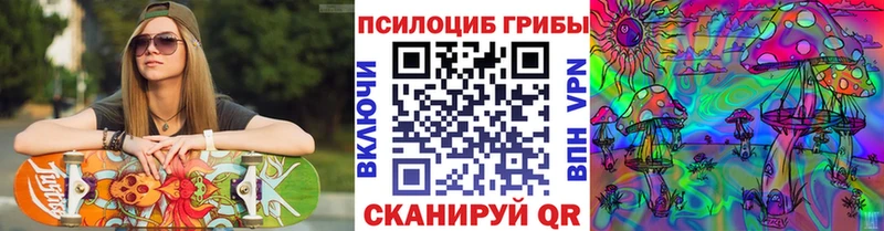 Купить закладки  Пионерский  Псилоцибиновые грибы мухоморы 